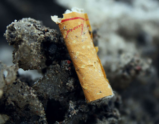 New Use for Cigarette Butts Makes Them Suddenly Worth the Cost of Recycling