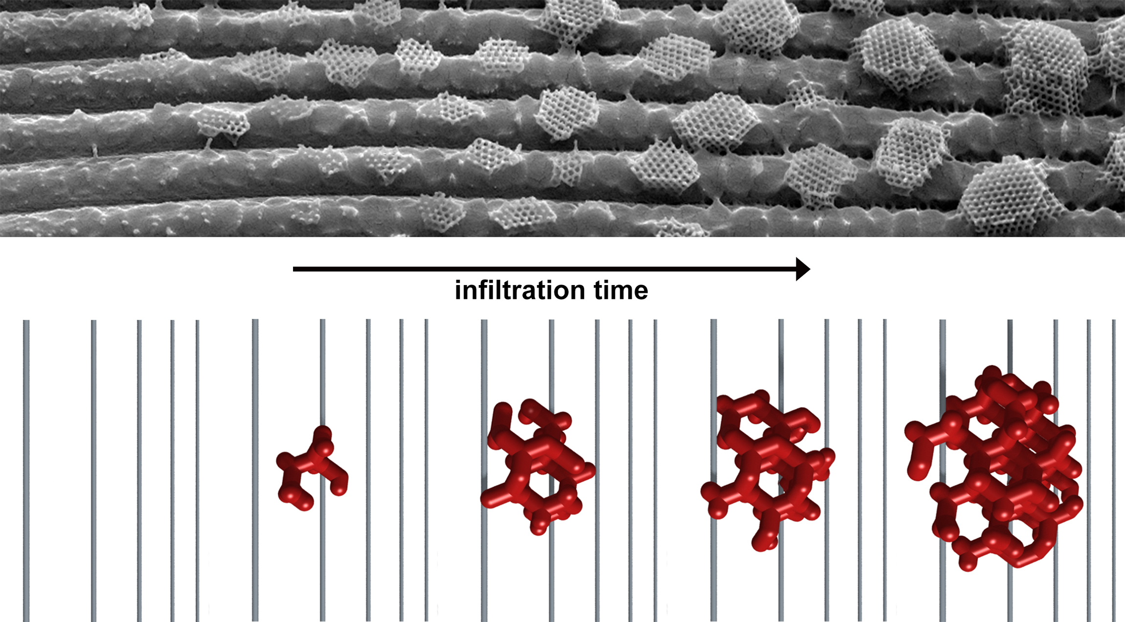 nanocrystals increasing in size