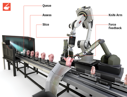 How It Works: The Robotic Chicken Butcher