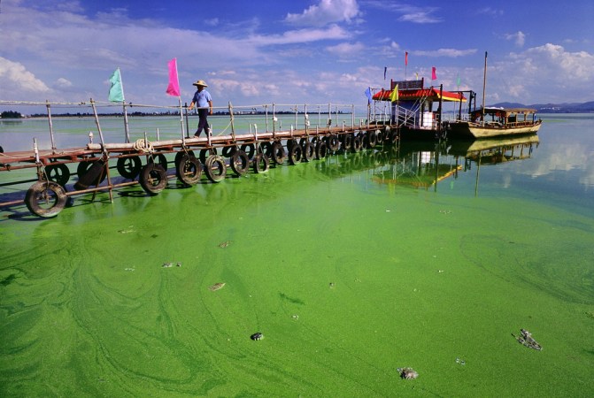 60-Ship Flotilla Dispatched to Ward Off Massive Algae Bloom on Chinese Coast