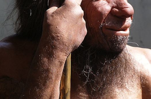 What Modern Humans Can Learn From The Neanderthals’ Extinction