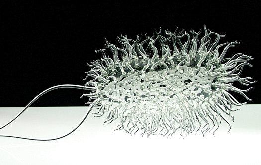 Oversize Sculptures Offer a Close Look at Bacteria and Viruses