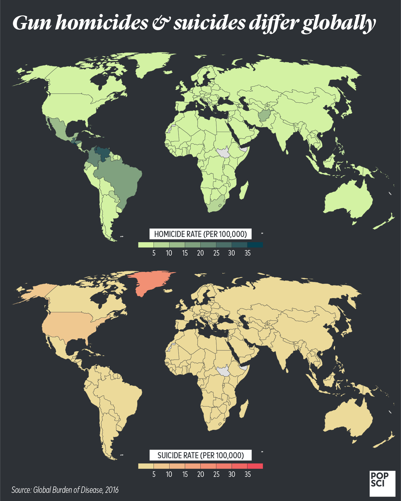 map homicide suicide gun