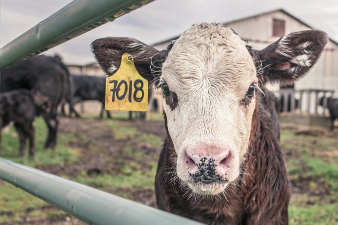 One-fifth of Americans are responsible for half the country’s food-based emissions