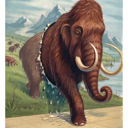Scientists Can Now Revive The Wooly Mammoth