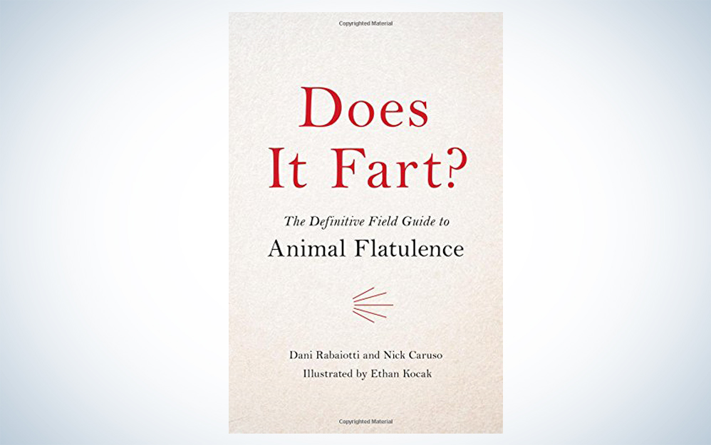 fart cover