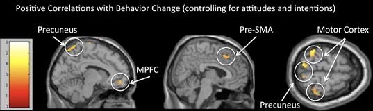 According to New Study, fMRI Brain Scans May Predict Your Behavior Better Than You Can