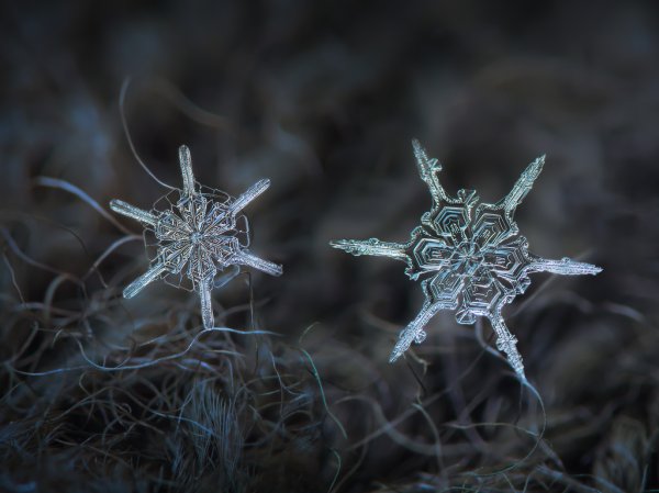 How a snowflake gets its shape