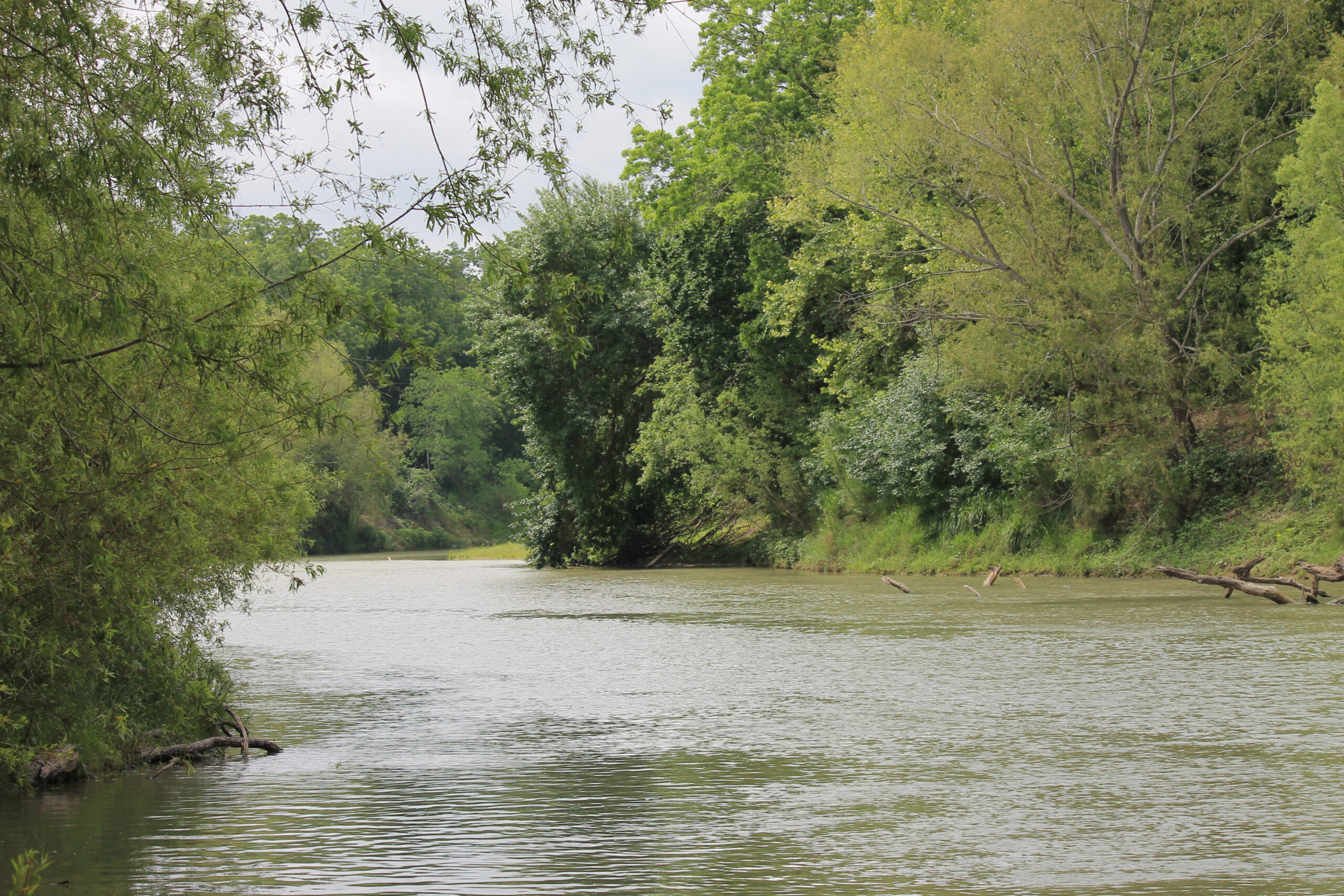 dickinson bayou