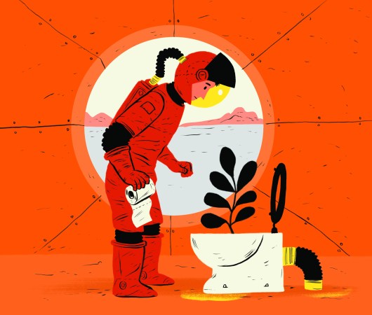 Could you fertilize Martian crops with human poop?