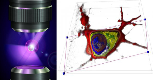 How Two Scientists Make 3-D Holographic Movies Of Individual Cells