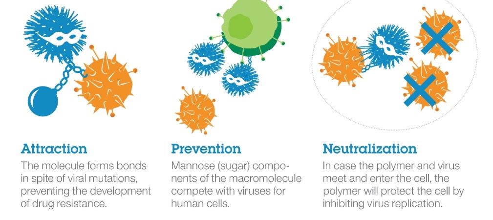 The Search of the Perfect Antiviral Has Taken A New Step Forward