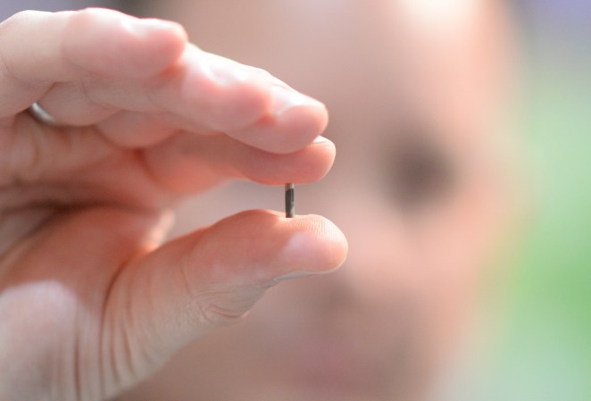Scientists have figured out how to stop our bodies from fighting electronic implants