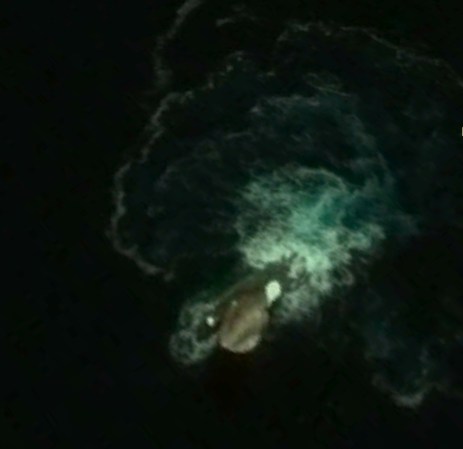 No, This Is Not An Antarctic Sea Monster Discovered On Google Earth