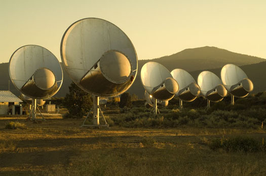 South Africa Unveils Test Array in Bid for World’s Most Powerful Radio Telescope