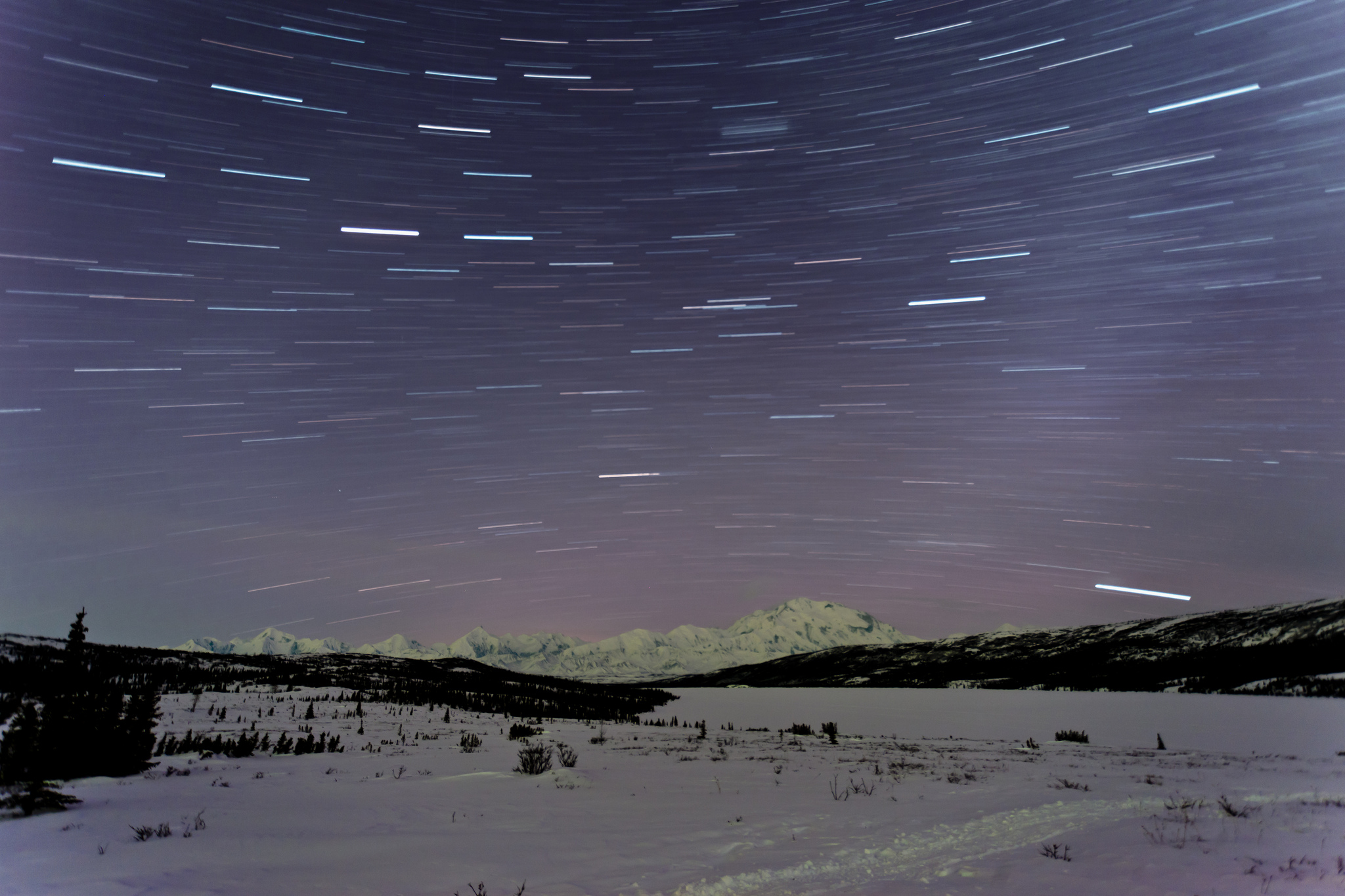 Denali star trails