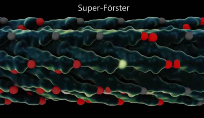 Viruses Can Be Genetically Modified To Transmit Energy