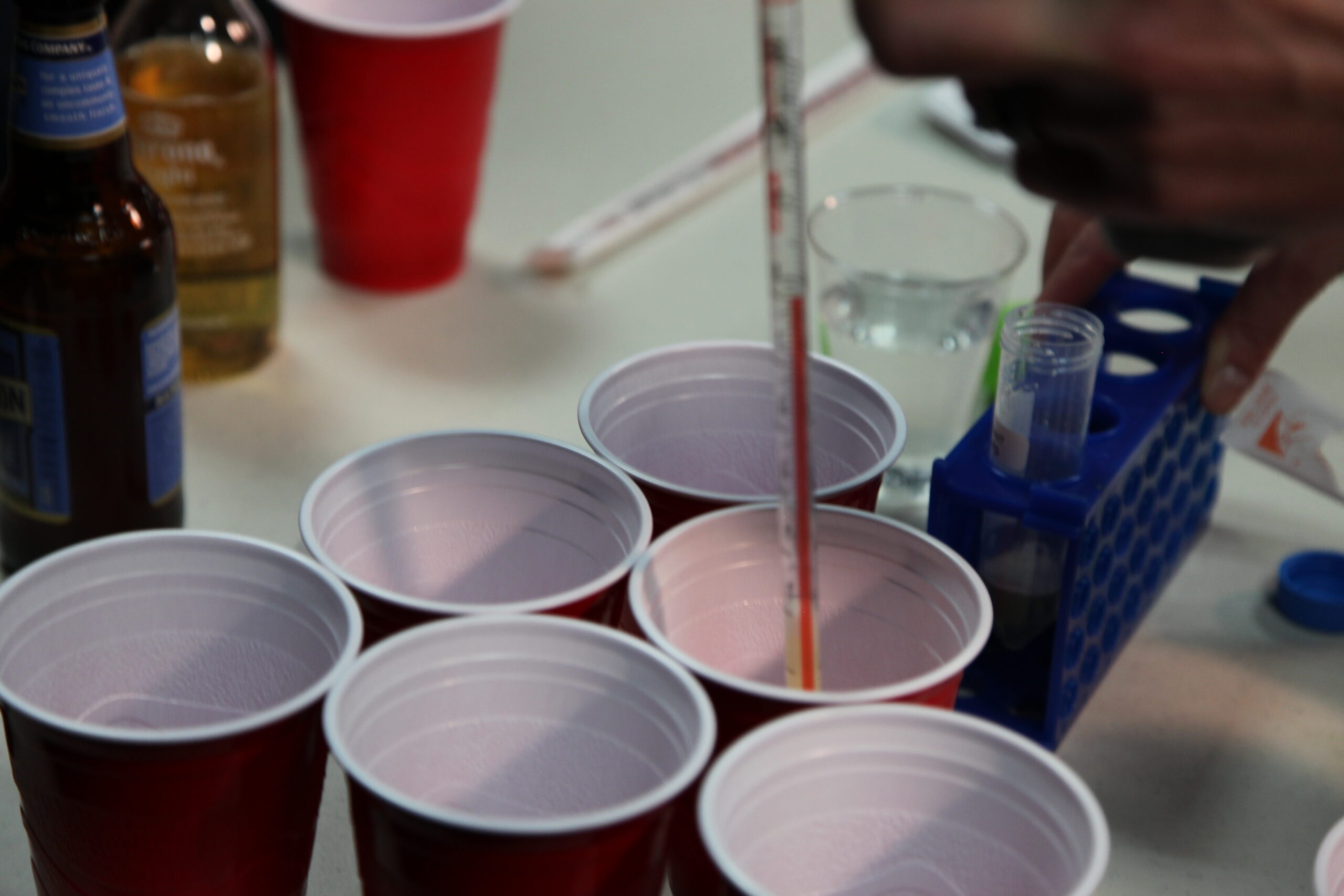 beer pong