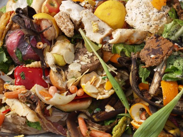 This Earth Day, cut down your food waste