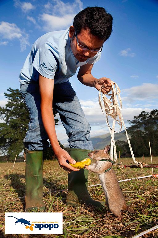 "HeroRAT"