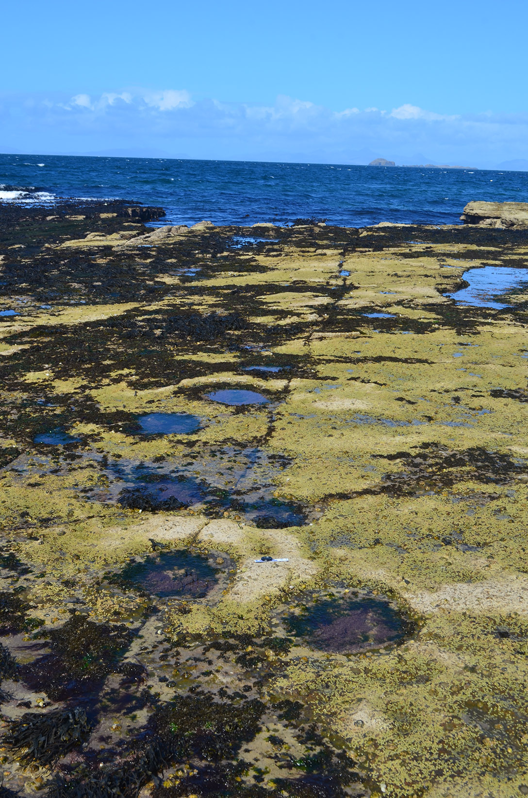 Skye Footprints