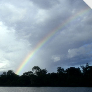 Why  Are Rainbows Shaped Like an Arch?