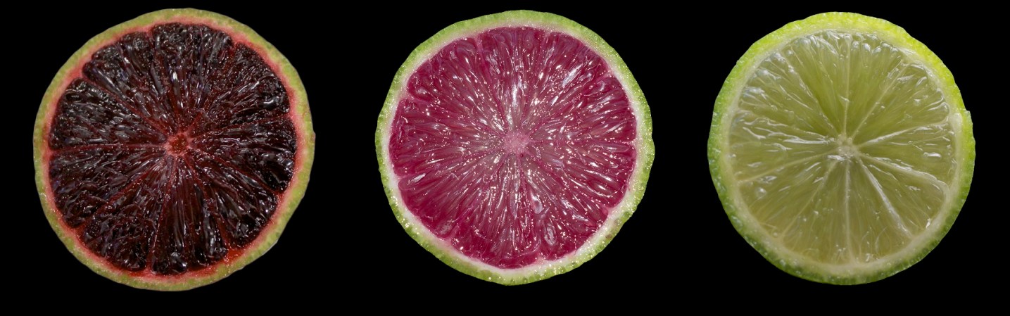 Genetically Modified Limes Are Purpler and More Healthful