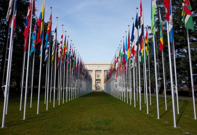 UN Resolution Expands Basic Human Rights to the Internet