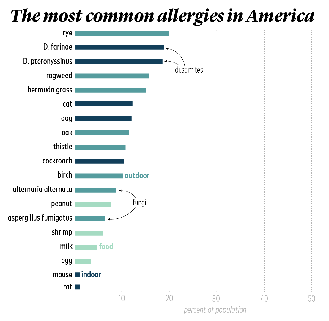 common allergies