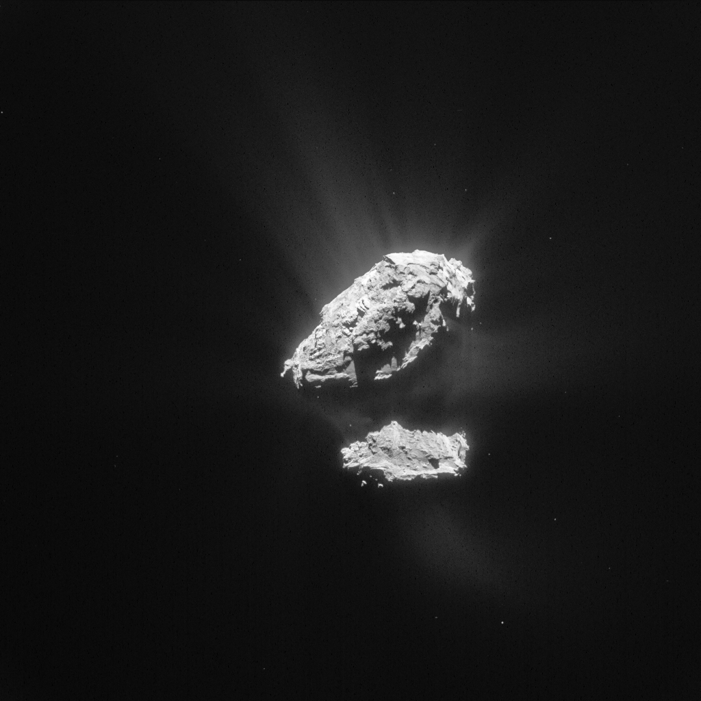 rubber duck shaped rock on black background, surrounded by light haze