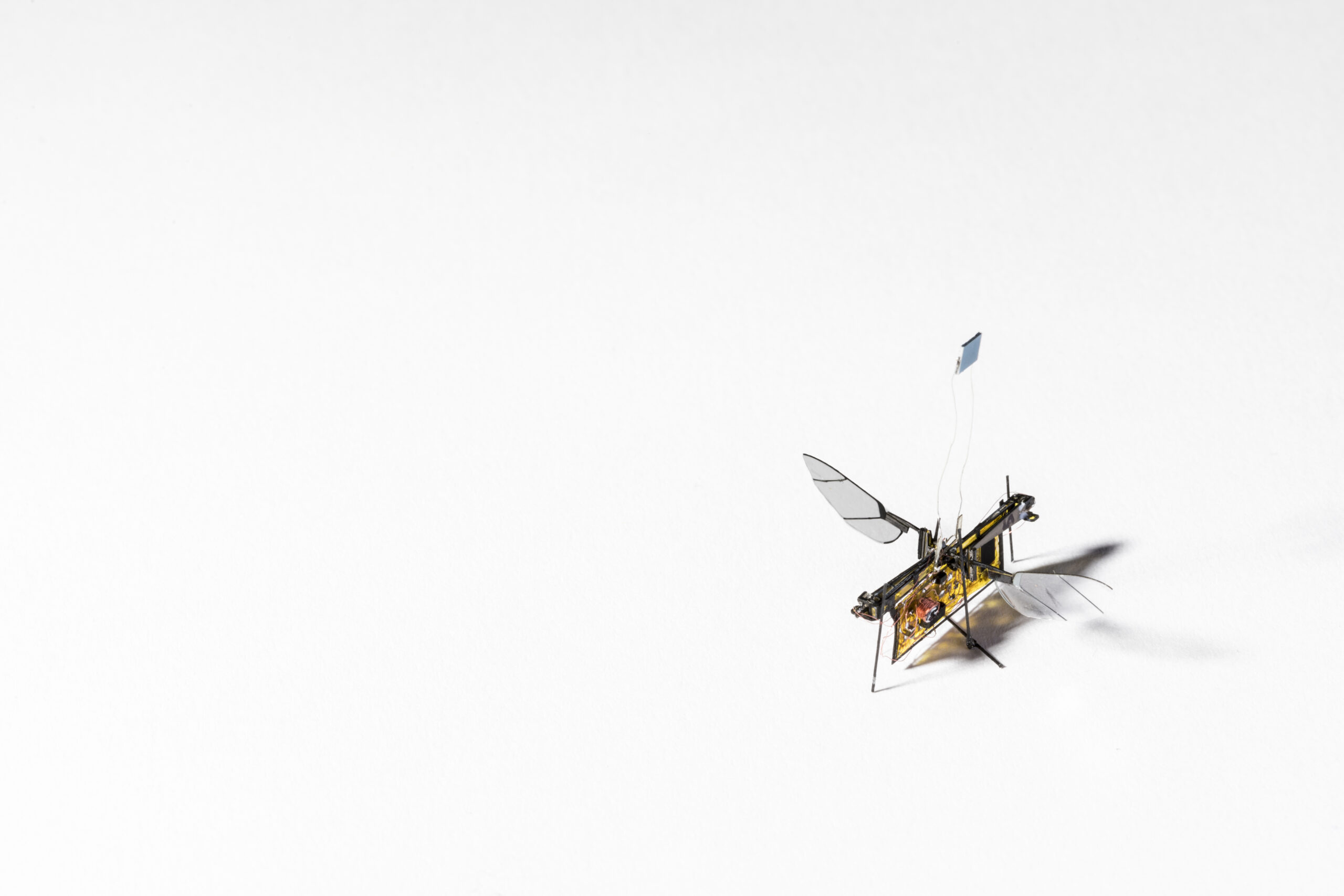 RoboFly minute robotic bug