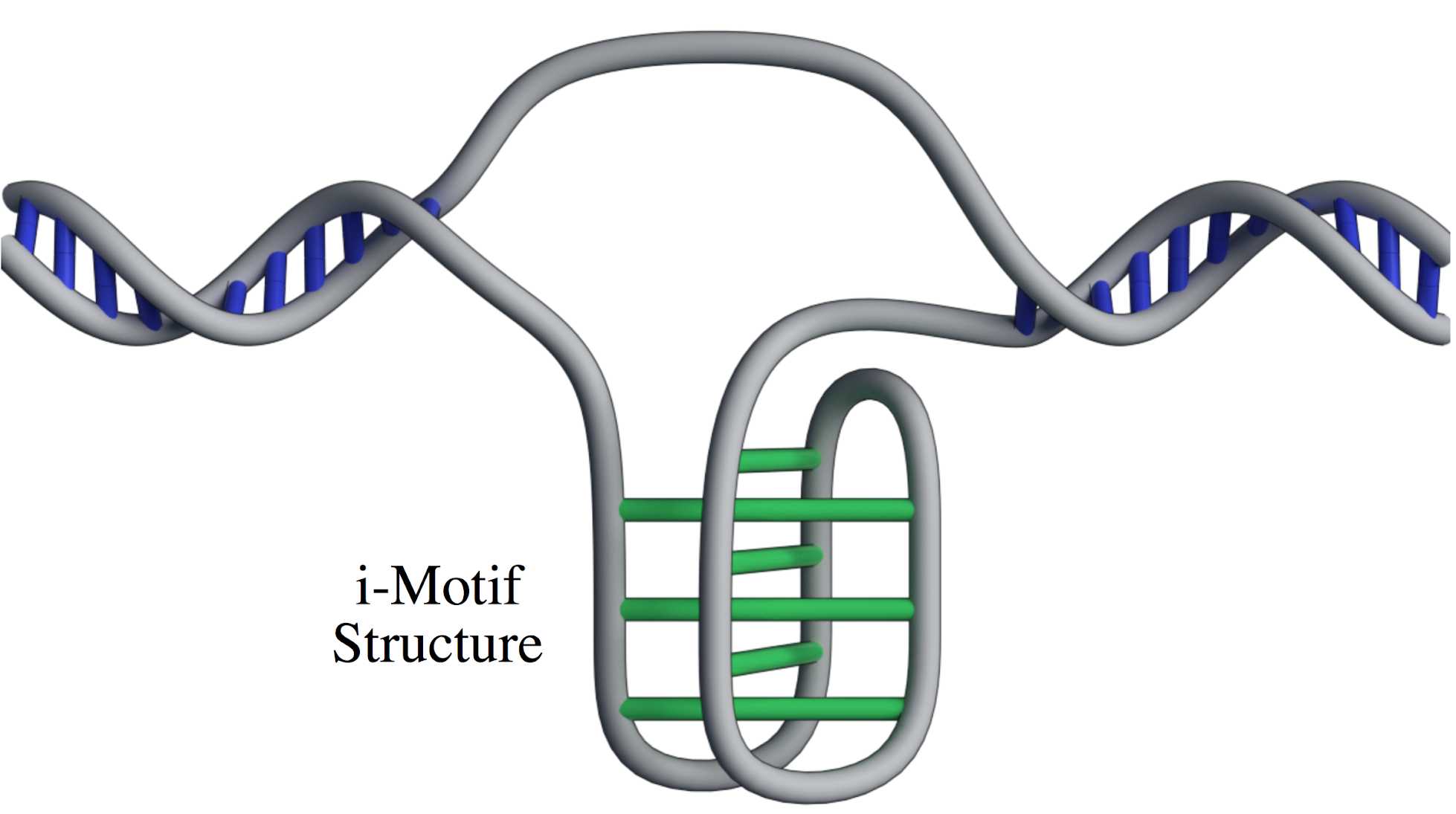 i-motif dna