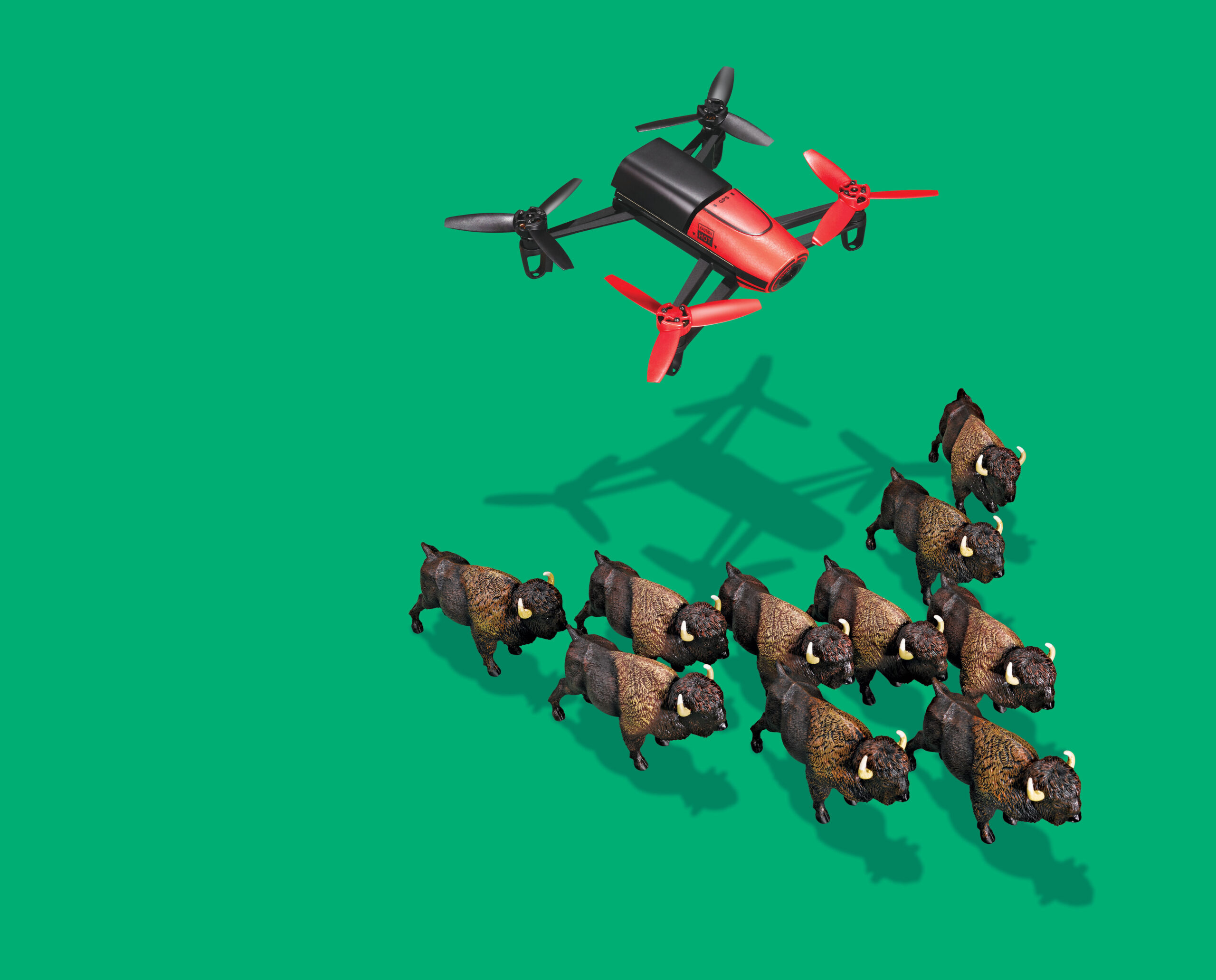 drone and a herd of bison