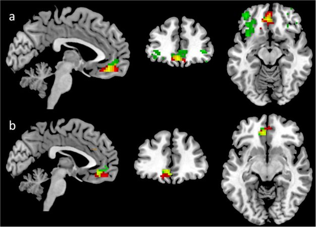 Your Sense of Smell Can Help Predict How Big Your Social Network Is