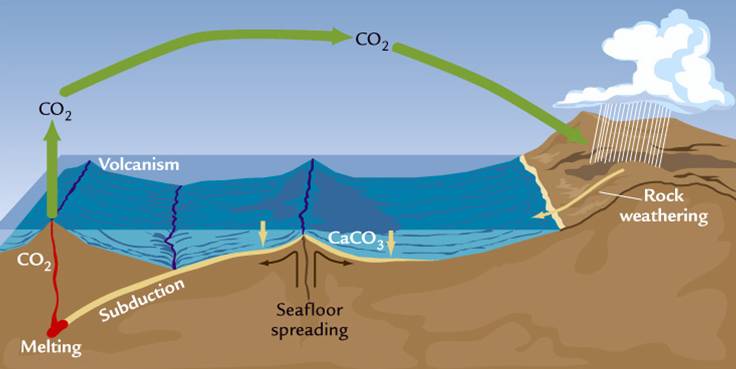 Weathering removes carbon dioxide from the atmosphere and delivers it to the ocean, where it combines with calcium to form limestone. Limestone is drawn under the Earth’s crust by the movement of tectonic plates — a process known as subduction. Heat separ