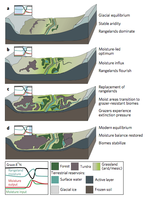 This illustrations shows how landscapes changed at the end of the last ice age.