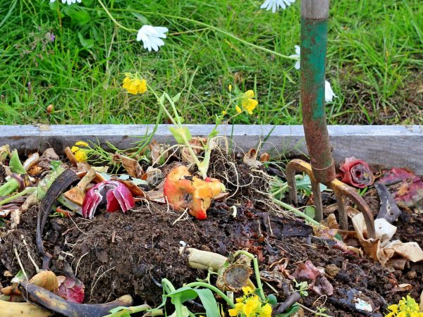 Anyone can compost their food waste (and everyone should)