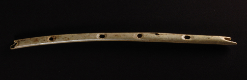 Oldest Musical Instrument Found