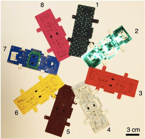 A Glimpse Of The Foldscope