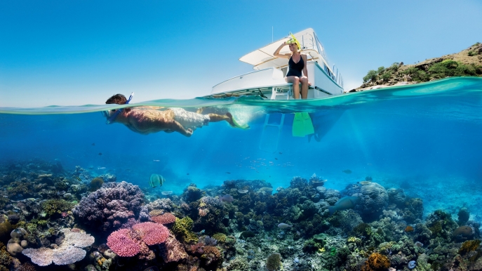 This engineer has a wild plan to save coral reefs from climate change