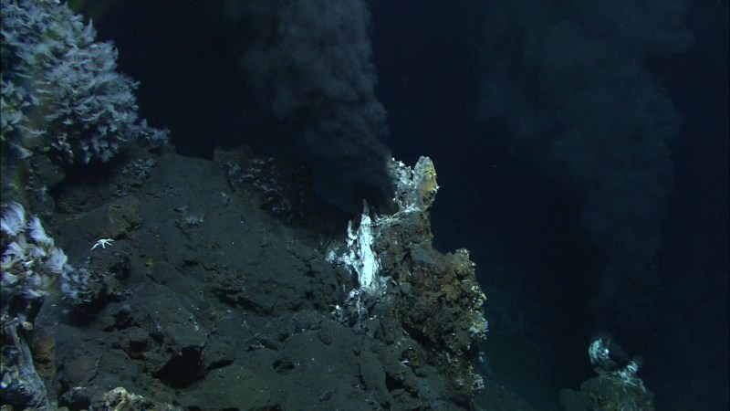 Deep-Sea Dwellers Make A Natural Antibiotic