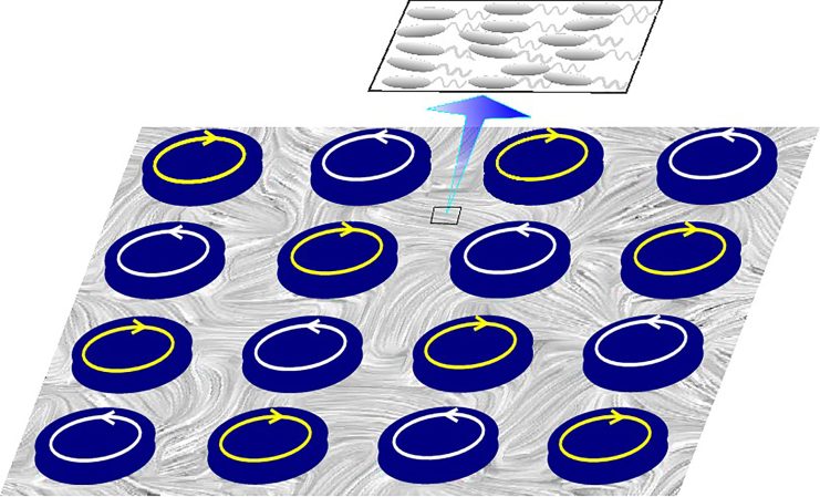 Bacteria Turbulence