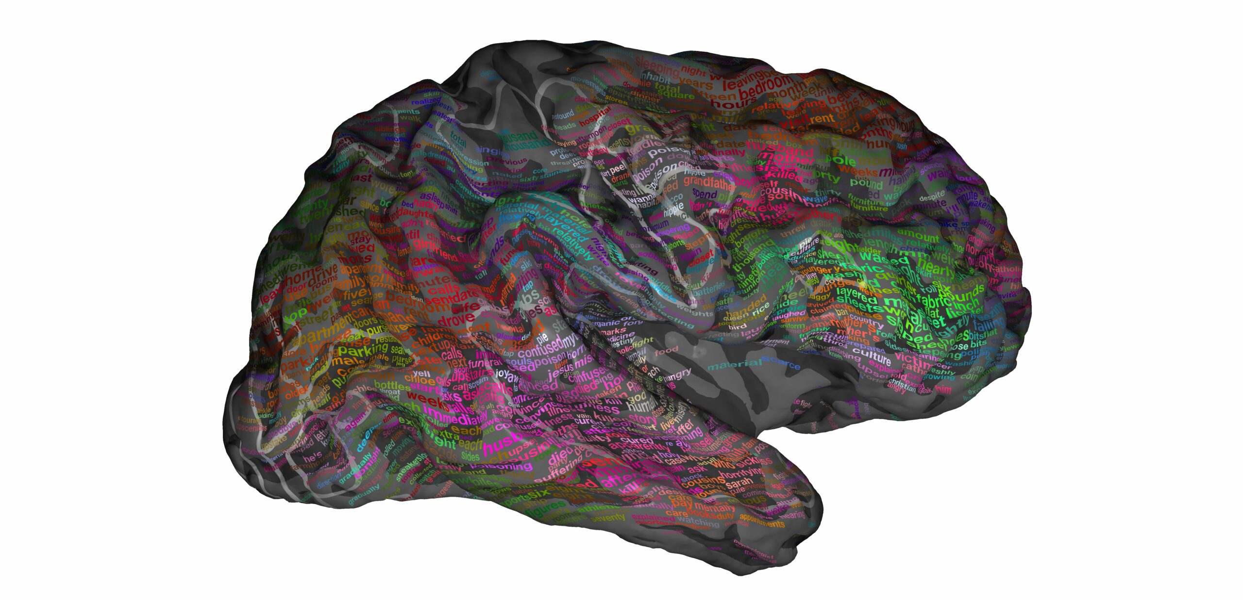 The Brain’s Map of Space: A New Discovery About How Our Brains Represent Information