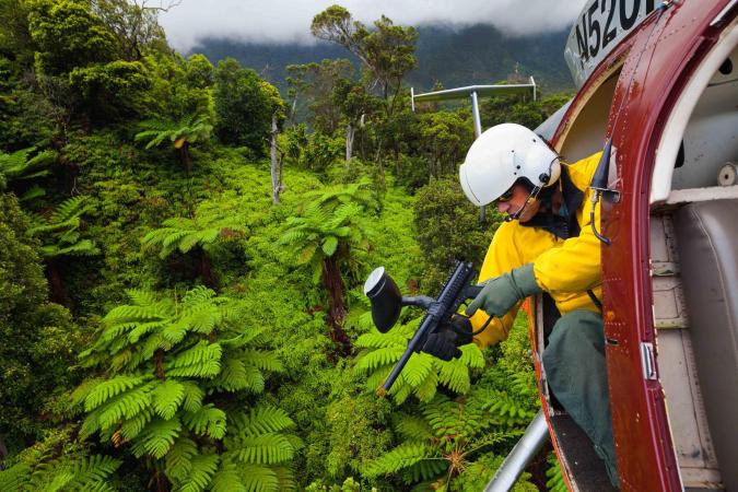 Trae Menard leans out of a helicopter with a paintball gun over a patch of healthy Australian tree ferns