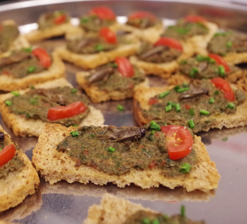 Cricket-based snacks are surprisingly delicious