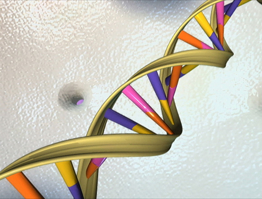 A Working Transistor Built Out Of DNA Within A Living Cell