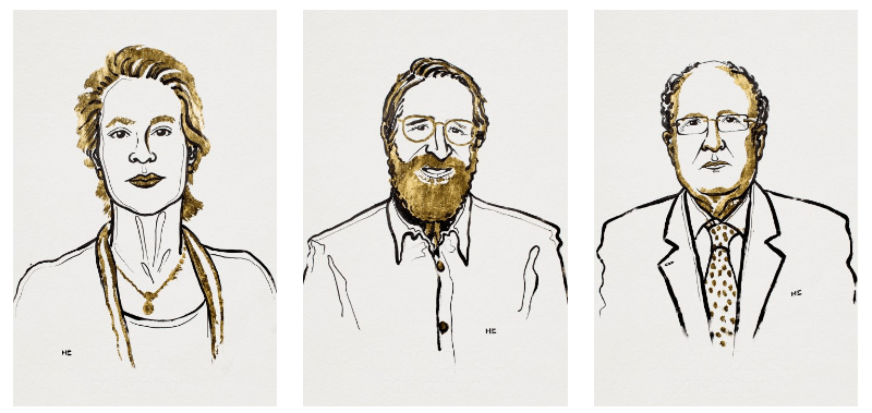 This year’s Nobel Prize in chemistry ‘rewards a revolution based on evolution’