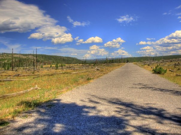 Yellowstone Is Replacing Asphalt With Paths Made From Old Tires