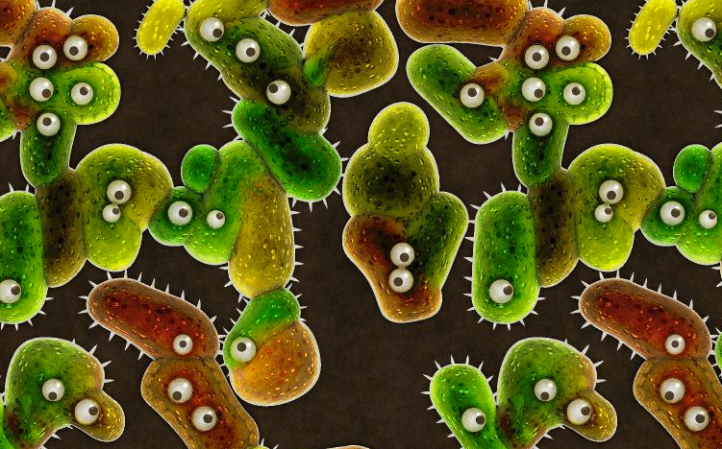 Building Design Influences Bacterial Growth