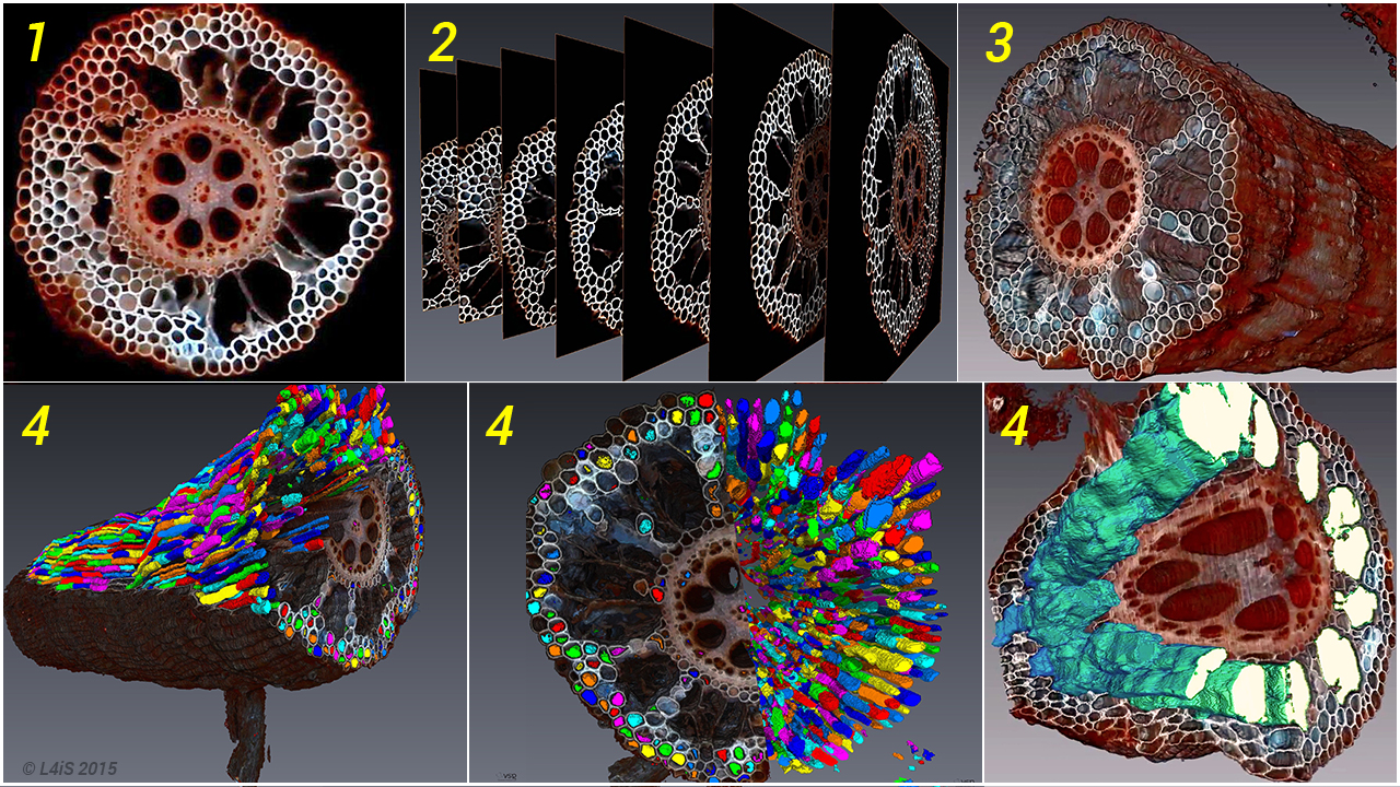 httpswww.popsci.comsitespopsci.comfileslat-process.jpg